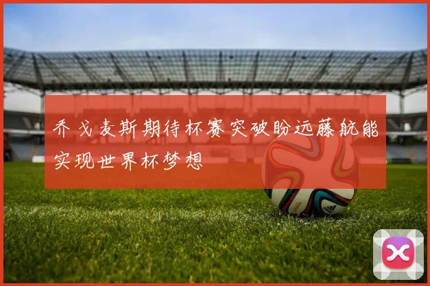 乔戈麦斯期待杯赛突破盼远藤航能实现世界杯梦想