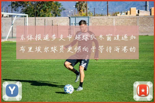 东体报道多支中超球队冬窗追逐加布里埃尔球员更倾向于等待海港的机会