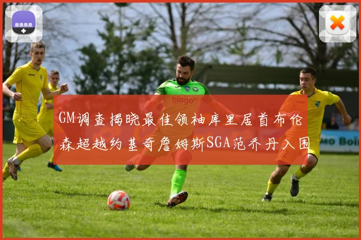 GM调查揭晓最佳领袖库里居首布伦森超越约基奇詹姆斯SGA范乔丹入围